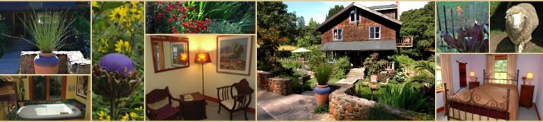 Casa Carolina Vacation Rental - Sonoma